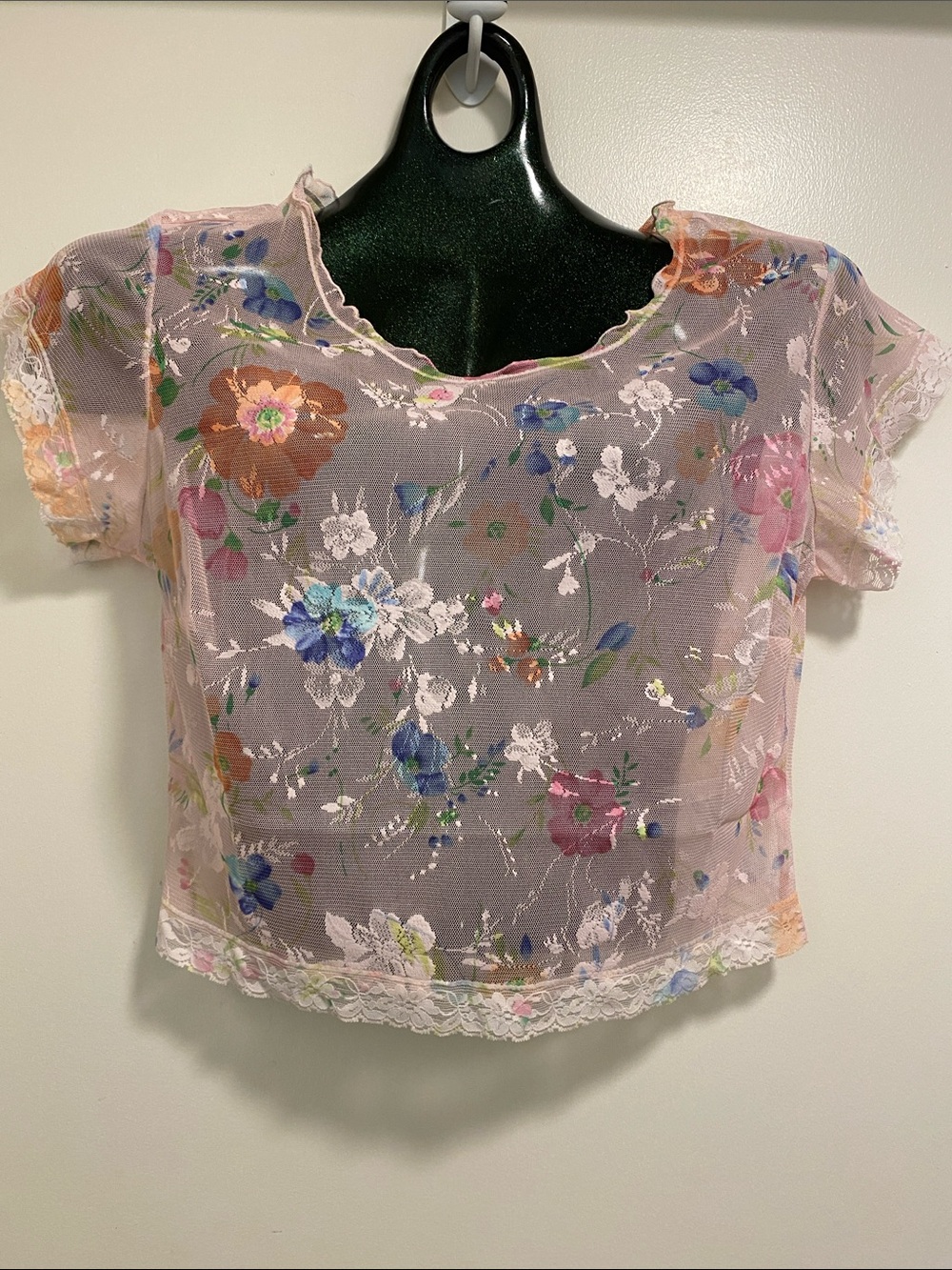 Boutique brand Pink Sheer Floral Lace-Trim Crop Top